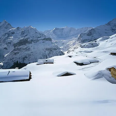 Chamonix By Interhome 格林德瓦